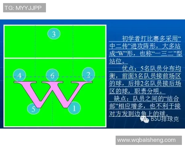 热议排球：武汉排球队的战术变革
