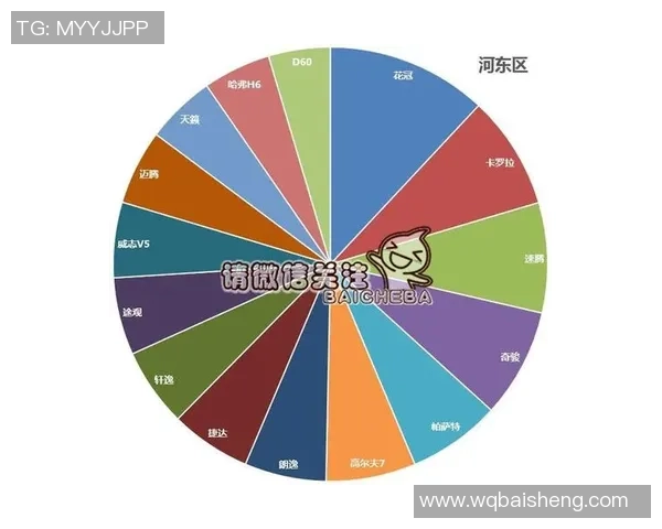 独家分析：杭州羽毛球队的力量对比