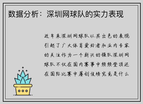 数据分析：深圳网球队的实力表现