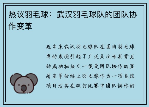 热议羽毛球：武汉羽毛球队的团队协作变革
