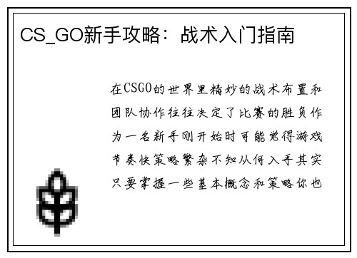 CS_GO新手攻略：战术入门指南