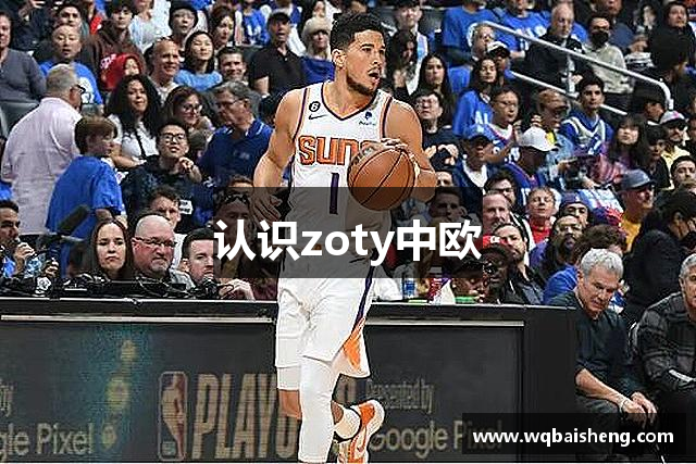 认识zoty中欧